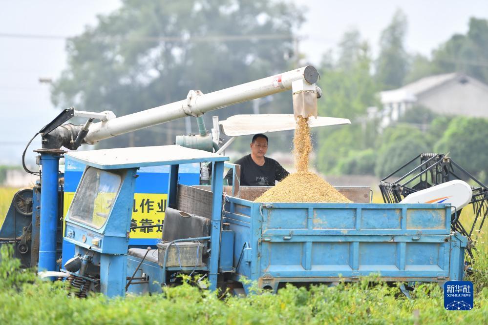 白菜注册验证手机号领
